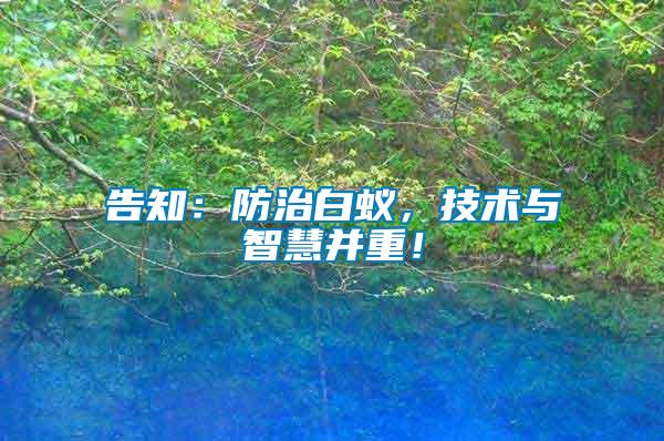 告知：防治白蟻，技術(shù)與智慧并重！
