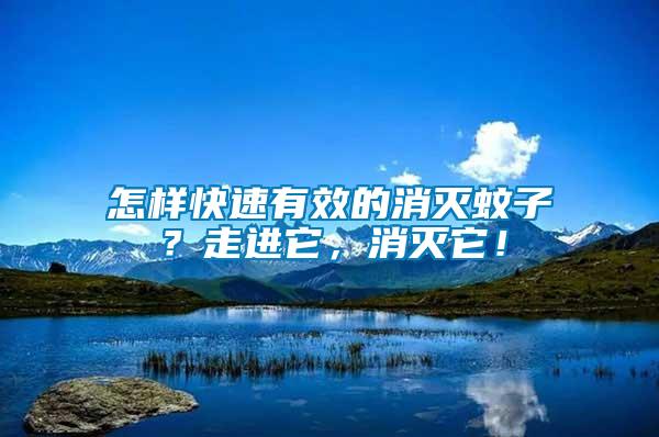 怎樣快速有效的消滅蚊子？走進(jìn)它，消滅它！
