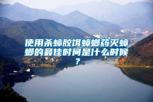 使用殺蟑膠餌蟑螂藥滅蟑螂的最佳時(shí)間是什么時(shí)候？