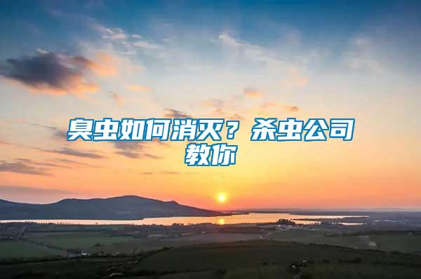 臭蟲如何消滅？殺蟲公司教你