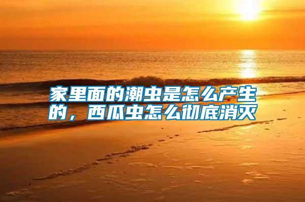 家里面的潮蟲是怎么產(chǎn)生的，西瓜蟲怎么徹底消滅