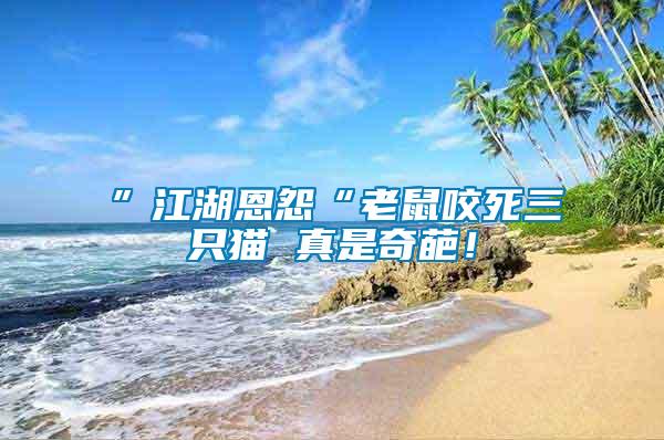 ”江湖恩怨“老鼠咬死三只貓 真是奇葩！