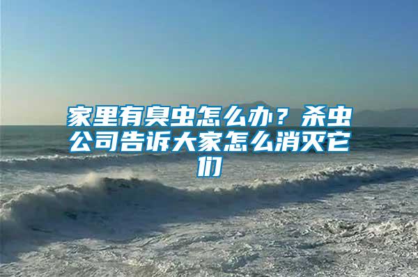 家里有臭蟲(chóng)怎么辦？殺蟲(chóng)公司告訴大家怎么消滅它們