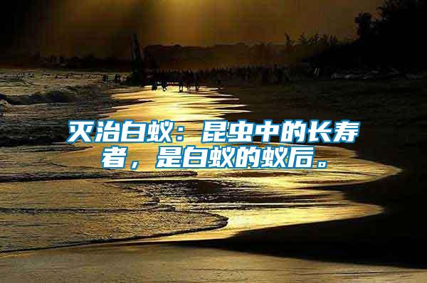滅治白蟻：昆蟲中的長壽者，是白蟻的蟻后。