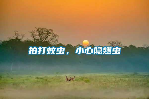 拍打蚊蟲(chóng)，小心隱翅蟲(chóng)