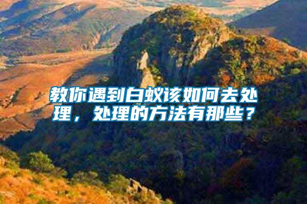 教你遇到白蟻該如何去處理，處理的方法有那些？