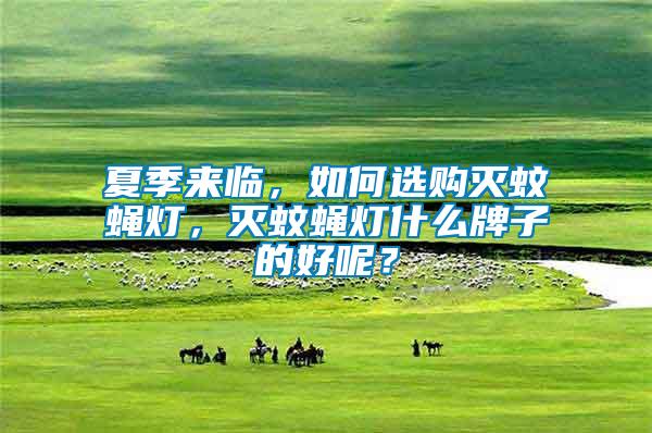 夏季來臨，如何選購滅蚊蠅燈，滅蚊蠅燈什么牌子的好呢？
