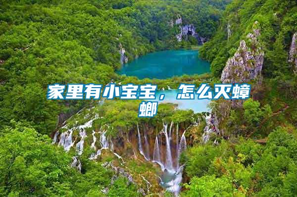 家里有小寶寶，怎么滅蟑螂