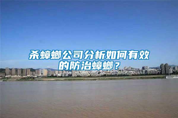 殺蟑螂公司分析如何有效的防治蟑螂？