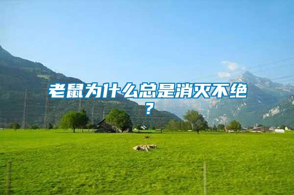 老鼠為什么總是消滅不絕？
