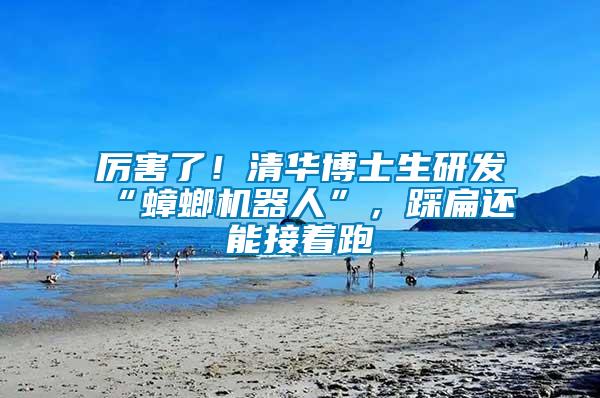 厲害了！清華博士生研發(fā)“蟑螂機(jī)器人”，踩扁還能接著跑