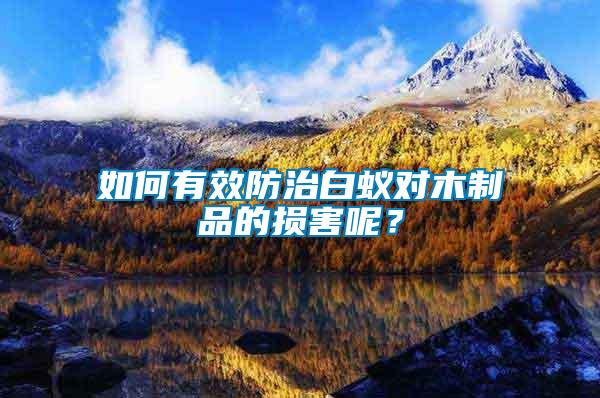 如何有效防治白蟻對木制品的損害呢？