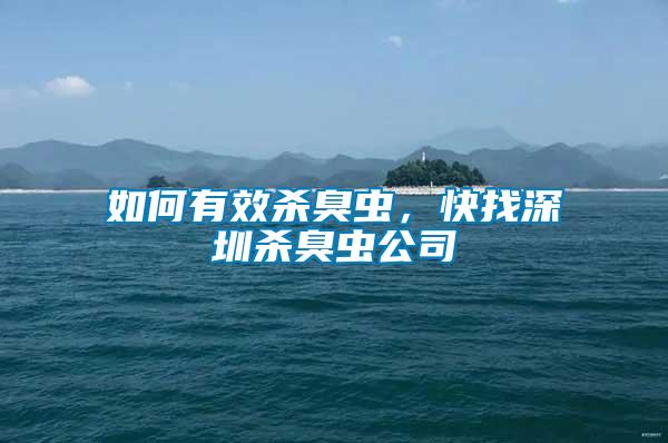 如何有效殺臭蟲，快找深圳殺臭蟲公司