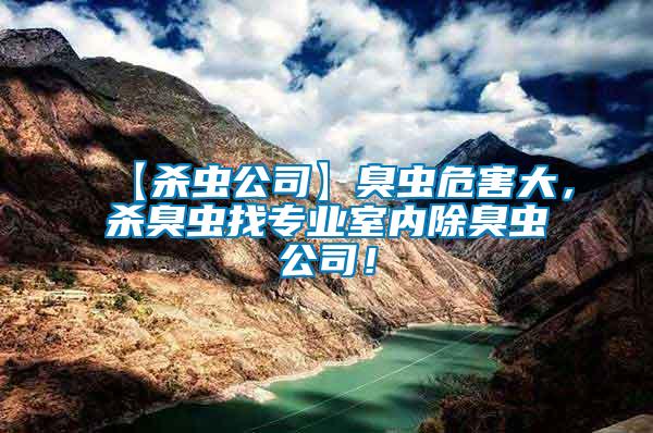 【殺蟲公司】臭蟲危害大，殺臭蟲找專業(yè)室內(nèi)除臭蟲公司！