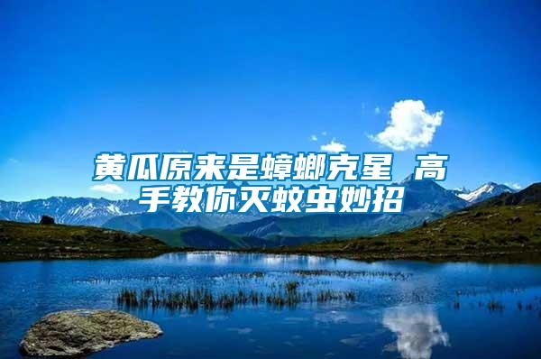 黃瓜原來(lái)是蟑螂克星 高手教你滅蚊蟲(chóng)妙招