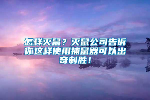 怎樣滅鼠？滅鼠公司告訴你這樣使用捕鼠器可以出奇制勝！