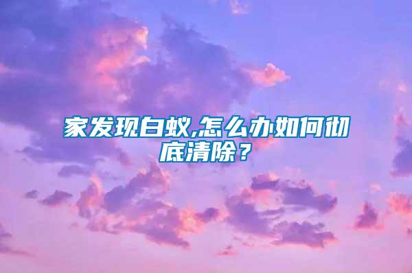 家發(fā)現(xiàn)白蟻,怎么辦如何徹底清除？