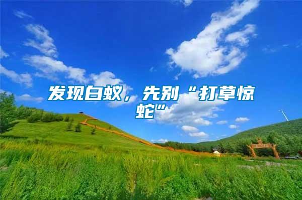 發(fā)現(xiàn)白蟻，先別“打草驚蛇”