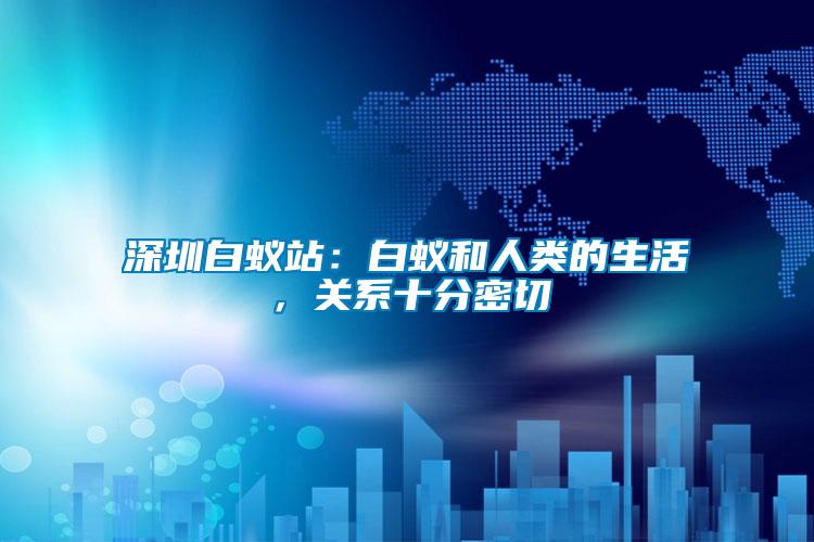 深圳白蟻站：白蟻和人類的生活，關(guān)系十分密切
