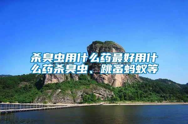 殺臭蟲用什么藥最好用什么藥殺臭蟲、跳蚤螞蟻等