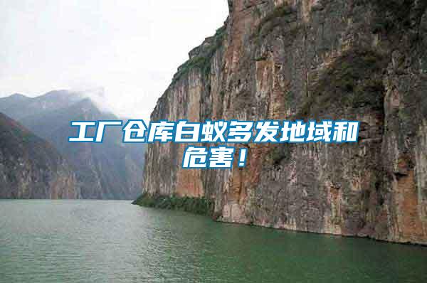 工廠倉庫白蟻多發(fā)地域和危害！