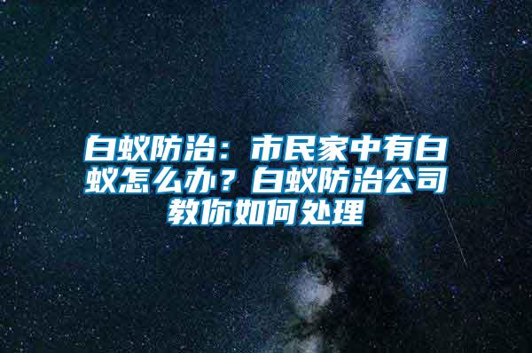 白蟻防治：市民家中有白蟻怎么辦？白蟻防治公司教你如何處理