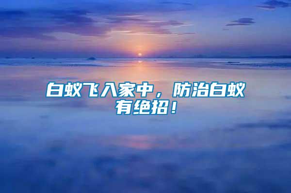 白蟻飛入家中，防治白蟻有絕招！
