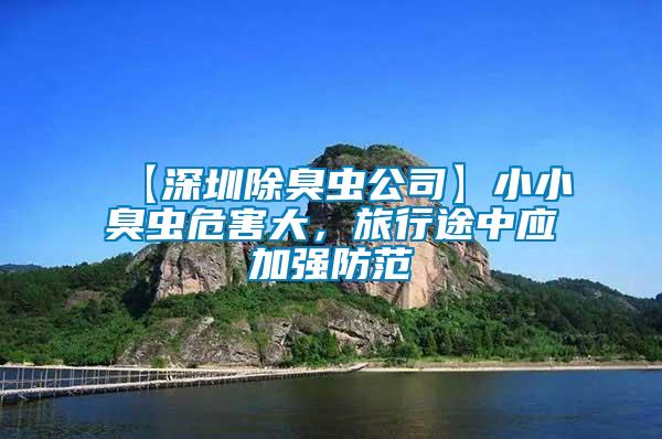 【深圳除臭蟲(chóng)公司】小小臭蟲(chóng)危害大，旅行途中應(yīng)加強(qiáng)防范