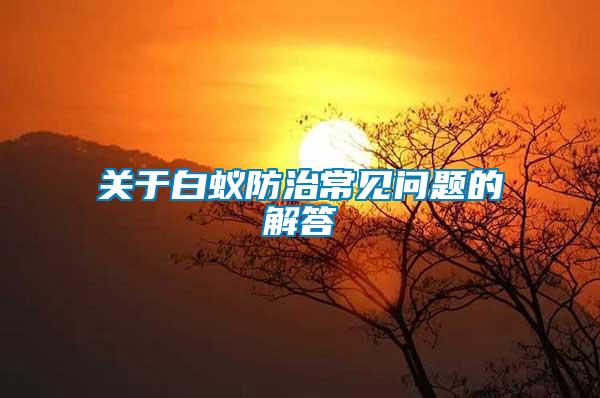 關(guān)于白蟻防治常見問(wèn)題的解答
