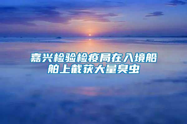嘉興檢驗(yàn)檢疫局在入境船舶上截獲大量臭蟲(chóng)