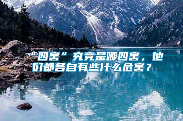 “四害”究競(jìng)是哪四害，他們都各自有些什么危害？