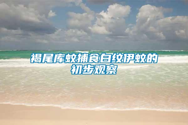 褐尾庫(kù)蚊捕食白紋伊蚊的初步觀(guān)察
