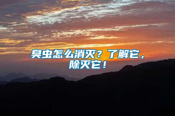 臭蟲怎么消滅？了解它，除滅它！
