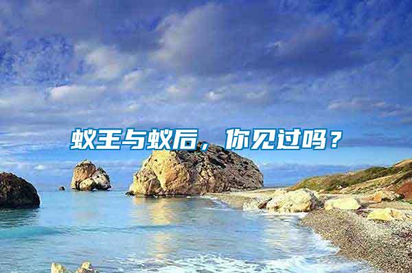 蟻王與蟻后，你見過嗎？