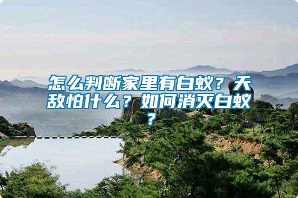 怎么判斷家里有白蟻？天敵怕什么？如何消滅白蟻？