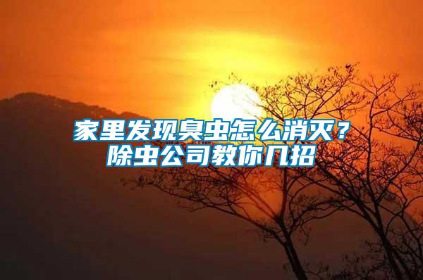 家里發(fā)現(xiàn)臭蟲怎么消滅？除蟲公司教你幾招