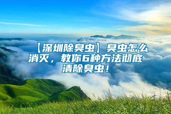 【深圳除臭蟲】臭蟲怎么消滅，教你6種方法徹底清除臭蟲！
