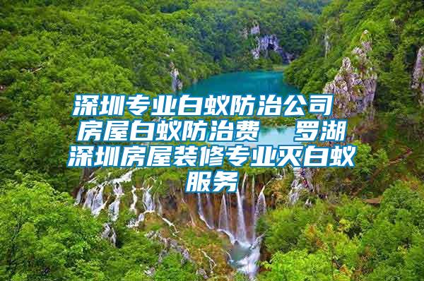 深圳專業(yè)白蟻防治公司 房屋白蟻防治費  羅湖深圳房屋裝修專業(yè)滅白蟻服務(wù)