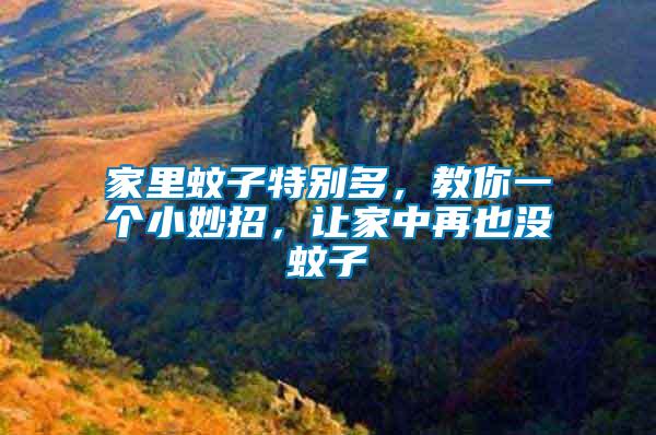 家里蚊子特別多，教你一個(gè)小妙招，讓家中再也沒蚊子