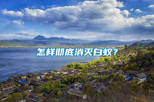 怎樣徹底消滅白蟻？