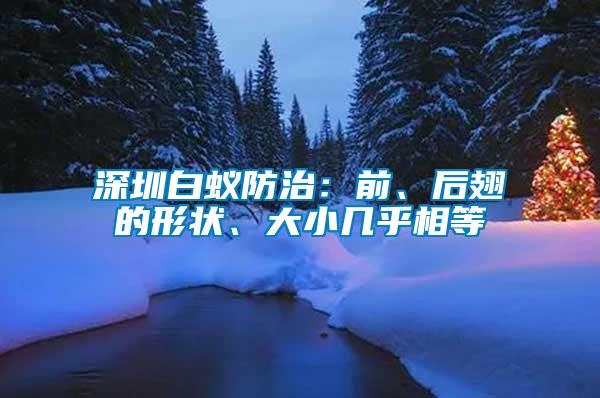 深圳白蟻防治：前、后翅的形狀、大小幾乎相等