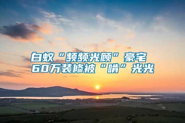 白蟻“頻頻光顧”豪宅 60萬(wàn)裝修被“啃”光光
