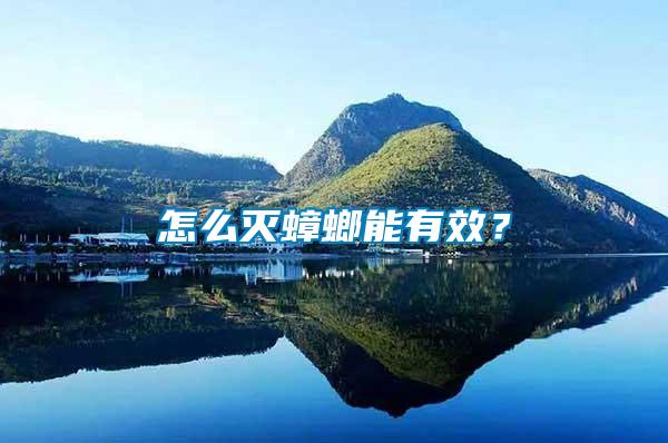怎么滅蟑螂能有效？