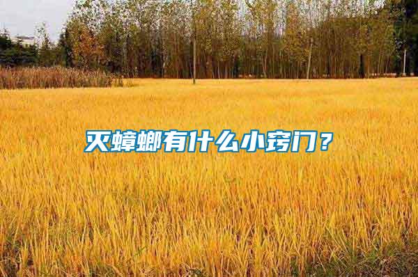 滅蟑螂有什么小竅門？