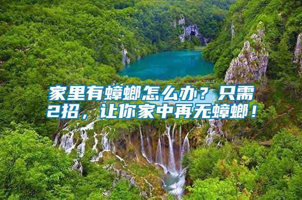 家里有蟑螂怎么辦？只需2招，讓你家中再無蟑螂！