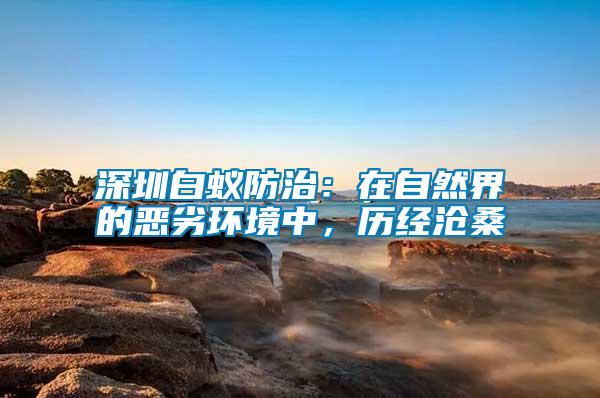 深圳白蟻防治：在自然界的惡劣環(huán)境中，歷經(jīng)滄桑
