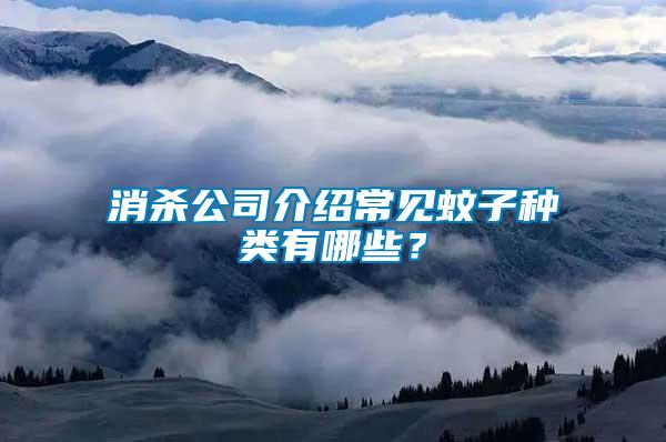 消殺公司介紹常見(jiàn)蚊子種類有哪些？