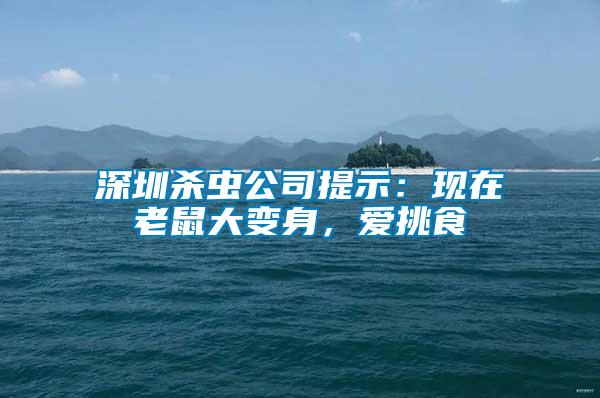 深圳殺蟲公司提示：現(xiàn)在老鼠大變身，愛挑食