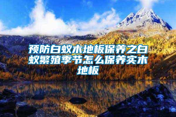 預防白蟻木地板保養(yǎng)之白蟻繁殖季節(jié)怎么保養(yǎng)實木地板
