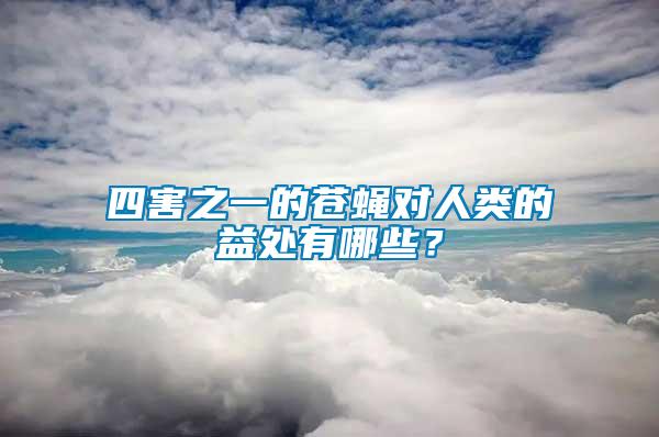 四害之一的蒼蠅對(duì)人類(lèi)的益處有哪些？